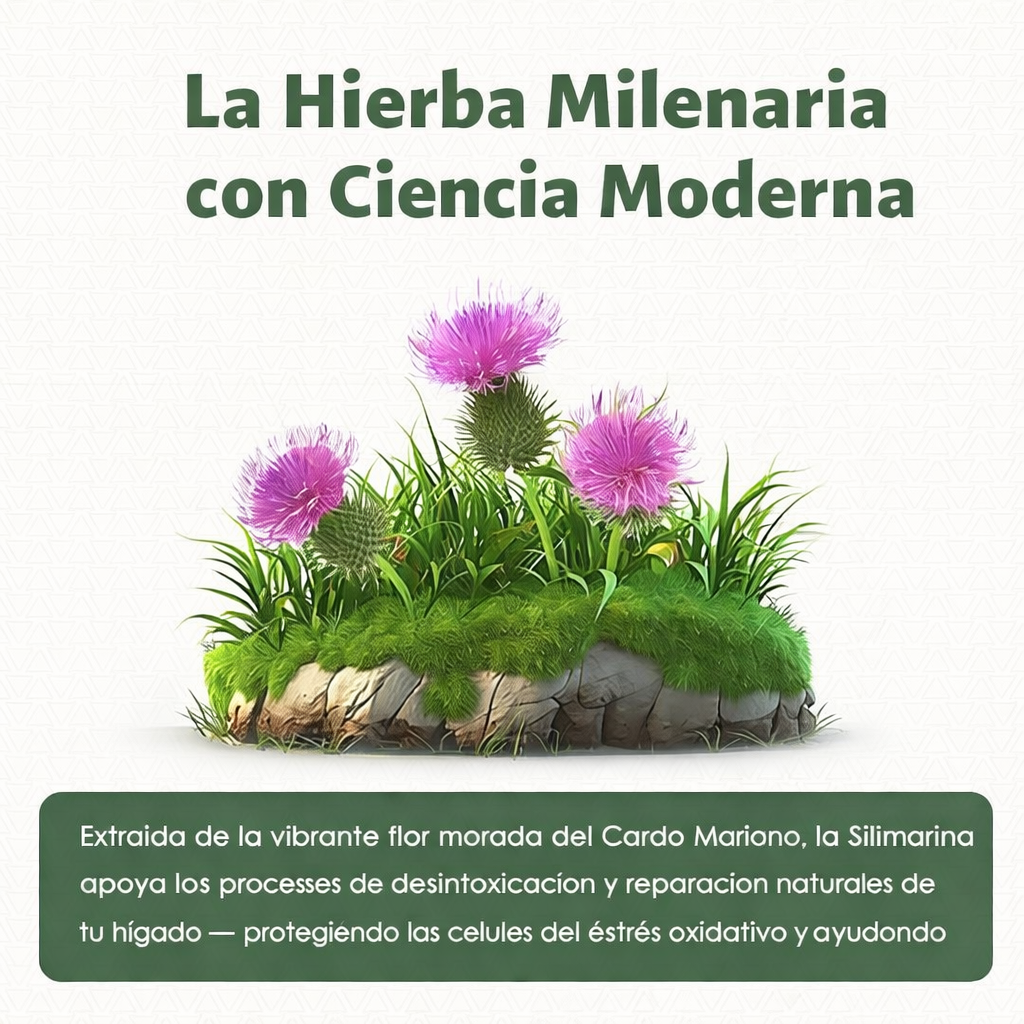 Liver Support - Detox & Cleanse - 120 und